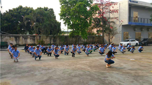 第六節(jié)全身運動